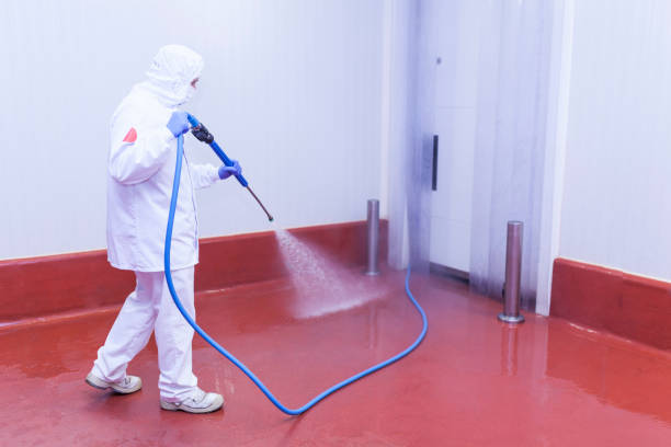 Au Sable, MI Pressure Washing Services Company