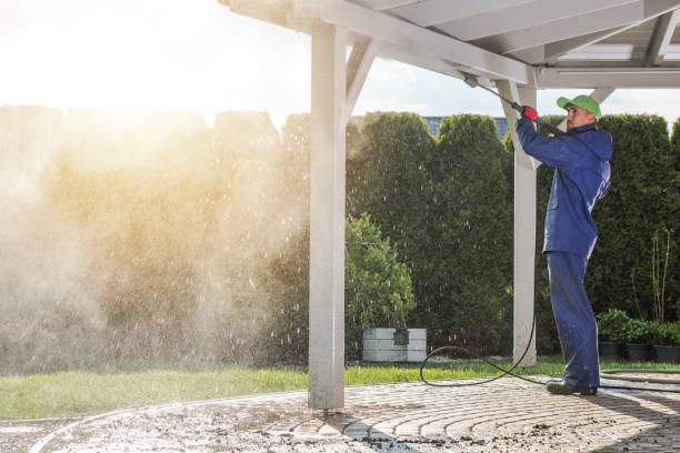 Best Spring Cleaning  in Au Sable, MI