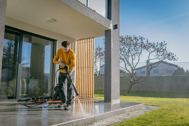 Best Roof Washing  in Au Sable, MI